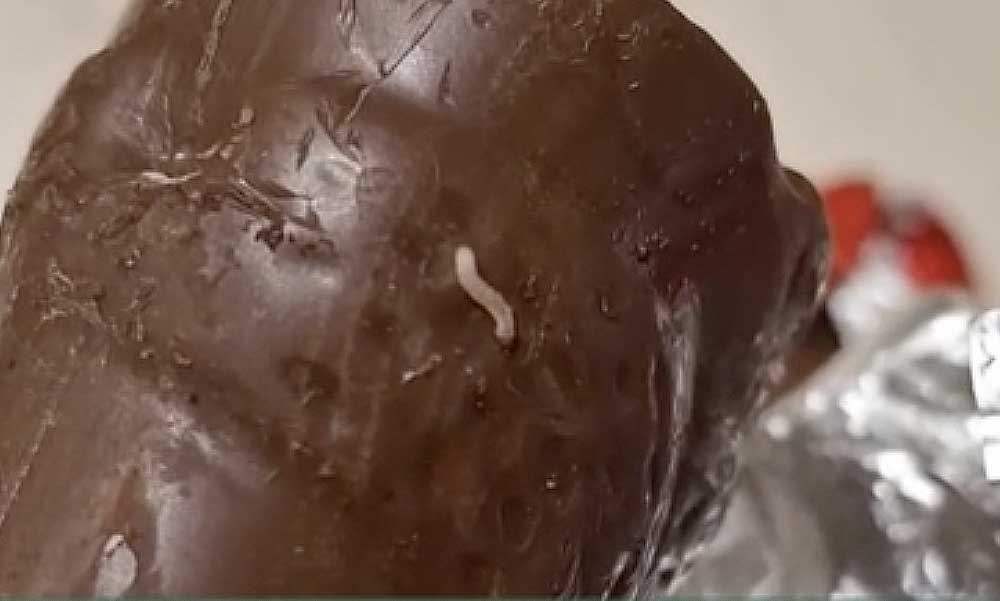 Kukacos csokimikulást kaptak a hajdúböszörményi óvodások és iskolások, többen rosszul lettek az édességtől