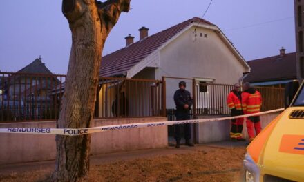 Megölte anyját az óvónő, mert nem bírta tovább elviselni, hogy az idős asszony irányítja az életét