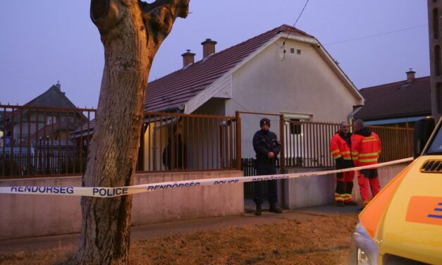 Megölte anyját az óvónő, mert nem bírta tovább elviselni, hogy az idős asszony irányítja az életét