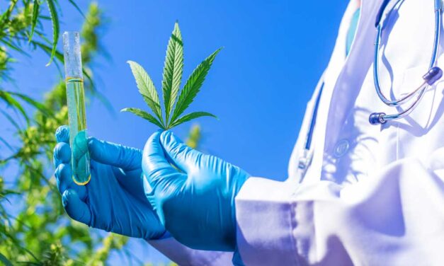 Az orvosi céllal fogyasztott marihuána kérdése Magyarországon – segíthet a nagy fájdalmakon 2. rész