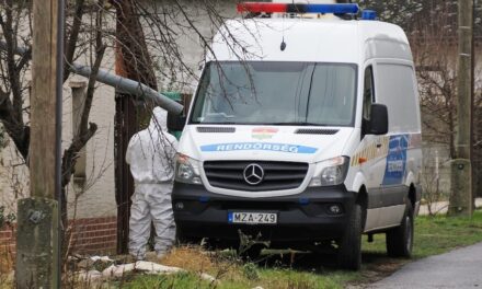 Halálra késeltek egy 17 éves fiút Miskolcon, idén ez már a 3. gyilkosság Magyarországon