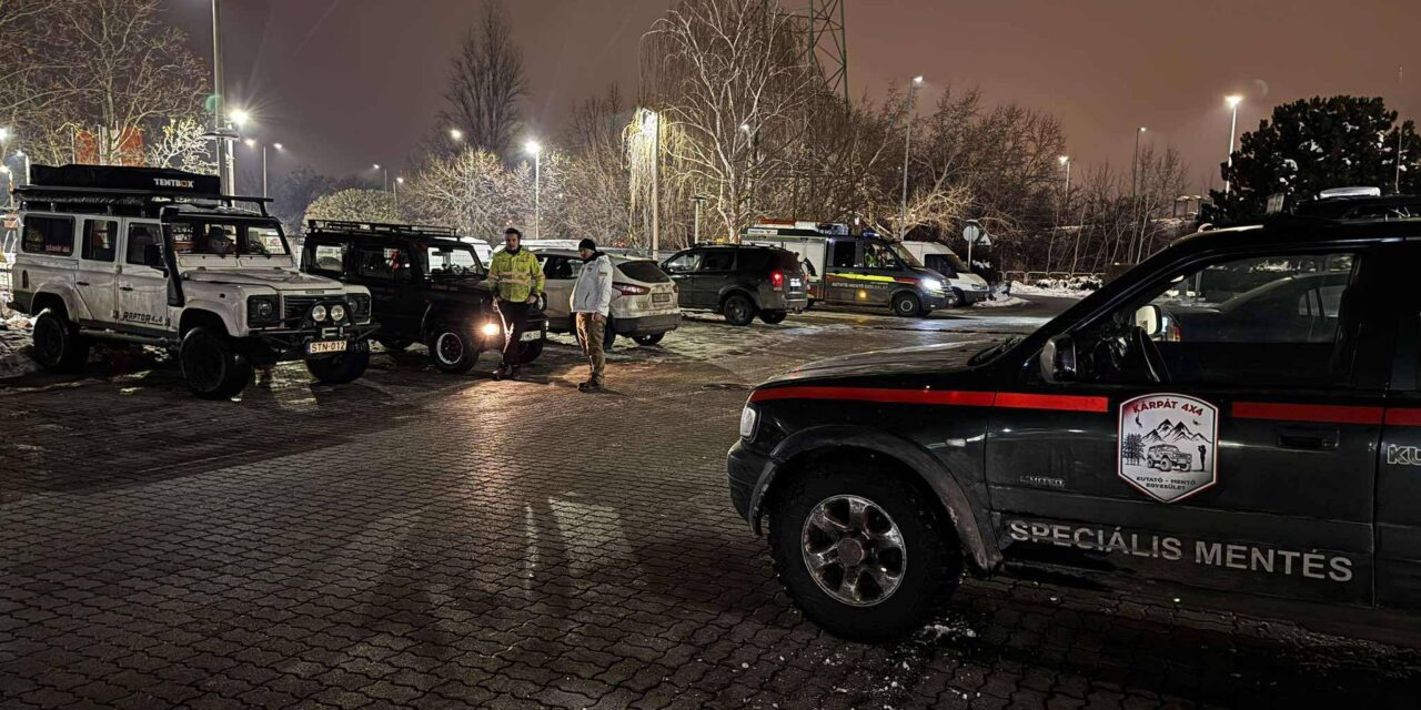 Eltűnt egy 77 éves, demens asszony Gyálról: az időjárás miatt életveszélyben lehet – fotó a cikkben