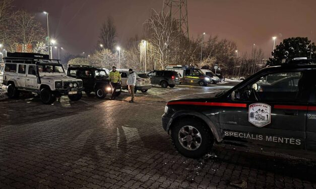 Eltűnt egy 77 éves, demens asszony Gyálról: az időjárás miatt életveszélyben lehet – fotó a cikkben