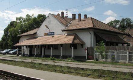 Dráma a vasútállomáson: magatehetetlen állapotban feküdt a sínek mellett egy személy, miközben Vác felől érkezett a vonat