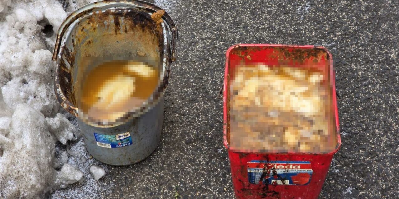 Undorító: vödörrel hordták az emberi ürüléket az csepeli utca végébe a lakók