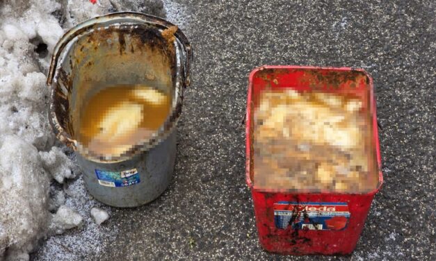 Undorító: vödörrel hordták az emberi ürüléket az csepeli utca végébe a lakók