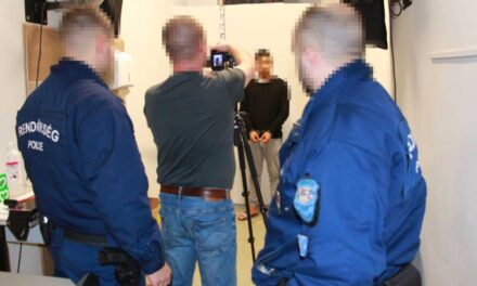 „Végig kellett néznünk azt, hogy édesanyám ég” – megszólalt a szatmárcsekei tragédia áldozatának fia, az idős asszonyt megölte, majd rágyújtotta a házát a 17 éves Erik