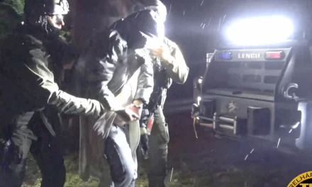 Balatonszepezdi rémálom: a TEK kommandósai fogták el az ismert fogorvost, aki bedrogozva akarta megölni szomszédját – videó a cikkben