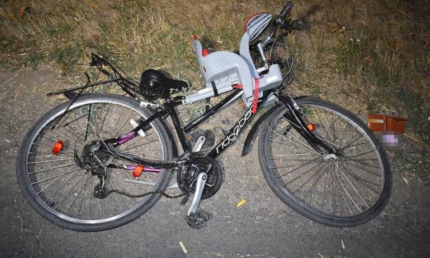 Halálra gázolta a teherautós a 65 éves asszonyt, majd elmenekült a helyszínről: a nő másnap kezdte volna meg nyugdíjas éveit