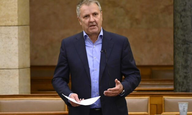 Baleset érte az MSZP volt elnökét, Molnár Gyula állapota nagyon súlyos