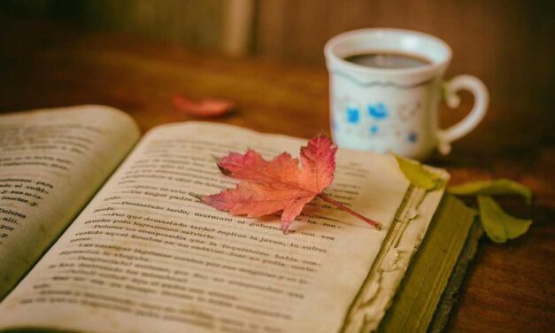 Az olvasás élménye: Sokkal több mint szórakozás