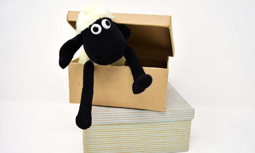 Hogyan válassz megfelelő csomagolást, ha webshopod van?