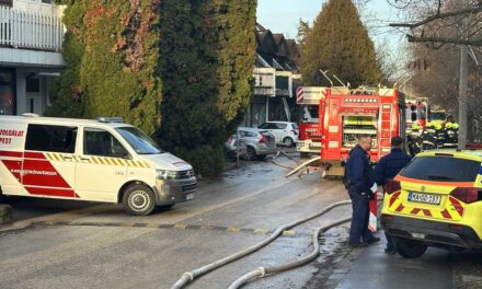 „Hatalmas durranásra és füstre ébredtem” – elképesztő hogyan sikerült Gábornak túlélnie a budakeszi tűzvészt