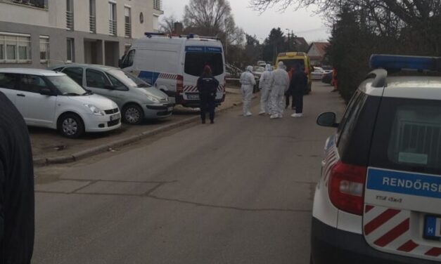 4 hónap házasság után, saját hálószobájában késelte halálra feleségét, miután milliókkal húzta le az asszony fiát