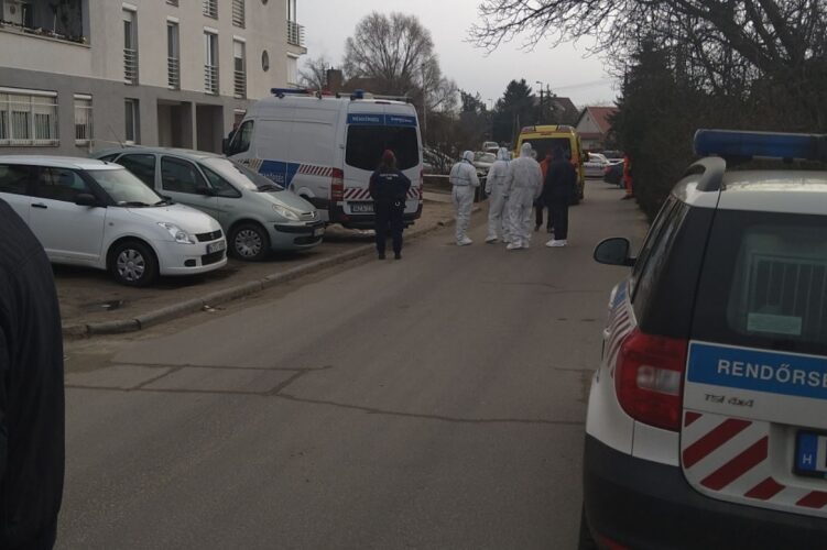 4 hónap házasság után, saját hálószobájában késelte halálra feleségét, miután milliókkal húzta le az asszony fiát