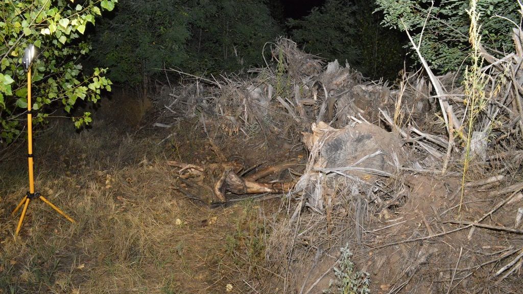 Tiszakécskei eltűnés: 80 éves élettársa is tudhatott arról, hogy veje megölte, majd elrejtette az 54 éves férfit