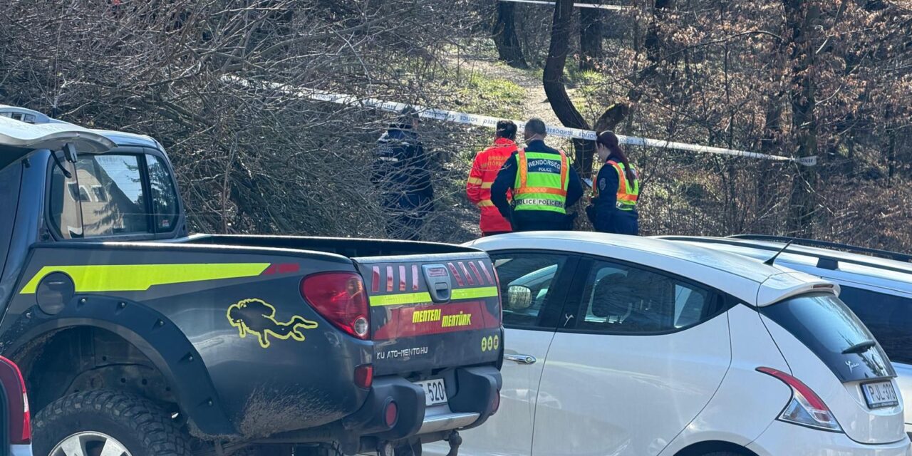 Holtan találták meg a Csobánkáról eltűnt idős, beteg férfit