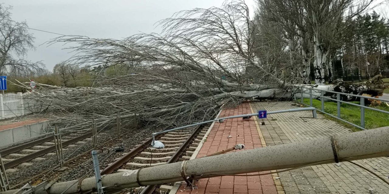 Vihar a Balatonon: fa dőlt a sínekre, nem járnak a vonatok a déli parton