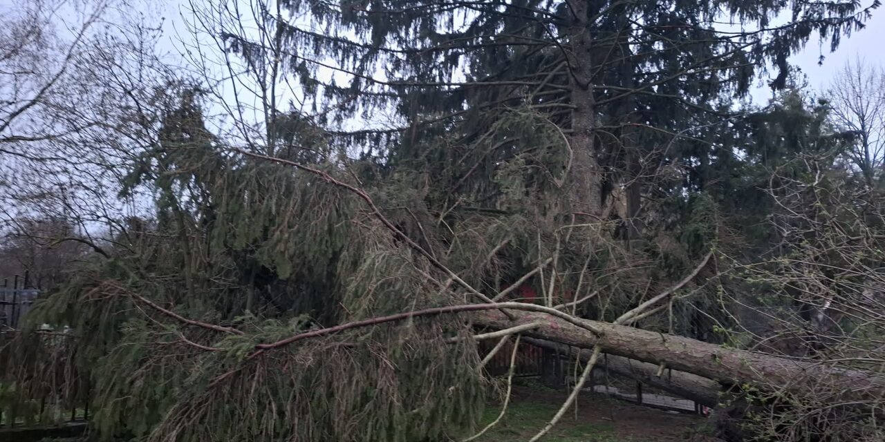 Ítéletidő: 110 km/órás szél tombol Vas megyében, 4 ezer háztartás maradt áram nélkül, 8 ezer lakásban nincs fűtés