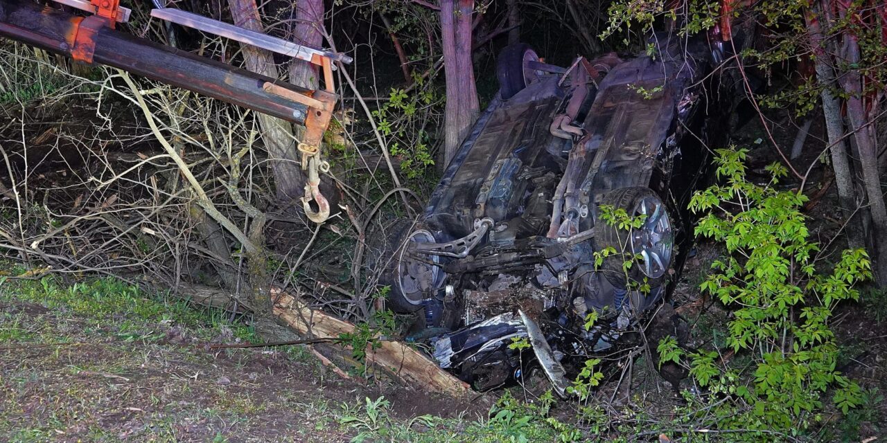 Buliból tartott hazafelé a Fülöpjakabnál balesetet szenvedett társaság, hárman szörnyethaltak a BMW-ben – a sofőr ittas volt