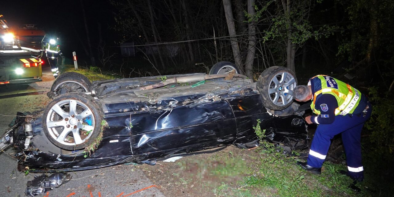 Vaddal ütközhetett a sofőr Abony és Törtel között, a tűzoltók már csak az 54 éves férfi holttestét tudták kihúzni a roncsok alól