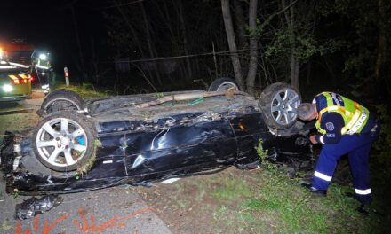 Hárman meghalt az éjszaka Kiskunfélegyházánál, miután fának csapódott az autójuk: ittas lehetett a sofőr