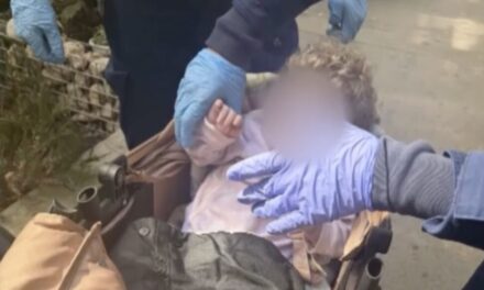 „A földön aludt, és mellette egy vödörbe ürítettek”- fekálival és vizelettel teli vödör mellett élt a 11 éves kislány, akire állatmentők találtak rá egy budapesti lakásban