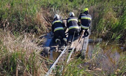 „Hatalmas szíve és küzdeni akarása példa értékű volt mindannyiunk számára” – csatornába zuhant és meghalt a PVSK-Panthers 19 éves kosarasa