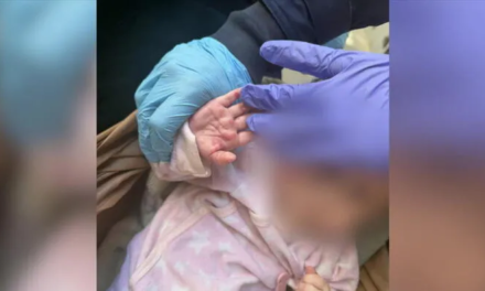 Emberi ürülékes vödrökkel és 11 kutyával élt együtt egy pici lakásban a kisgyermekes nő – döbbenetes videó a cikkben