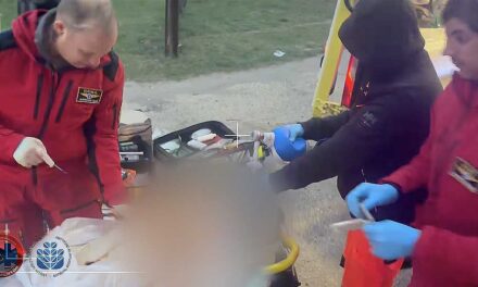 Orvosi bravúr: a nyílt utcán műtötte meg a budapesti főorvos a szíven szúrt férfit – a beavatkozásról készült videó a cikkben