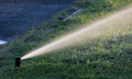 Innovatív megoldások a kertben: szivattyúk és öntözés