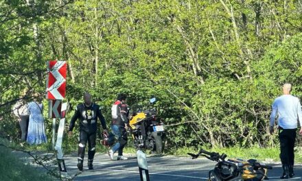 Erdőbe repült a motoros a bajnai szerpentinen: Drámai pillanatok a hírhedt kanyarvadászaton – Helyszíni fotók