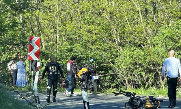Erdőbe repült a motoros a bajnai szerpentinen: Drámai pillanatok a hírhedt kanyarvadászaton – Helyszíni fotók