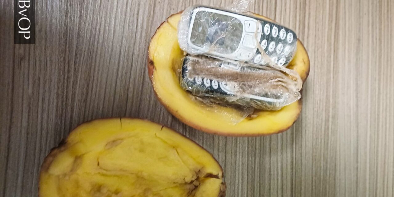 A kerítésen keresztül dobták be a krumpliba rejtett mobilokat a budapesti börtön udvarába