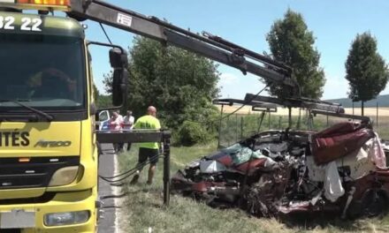 Gyermeke ballagására sietett a háromgyermekes családapa: ő a csetényi buszbaleset halálos áldozata
