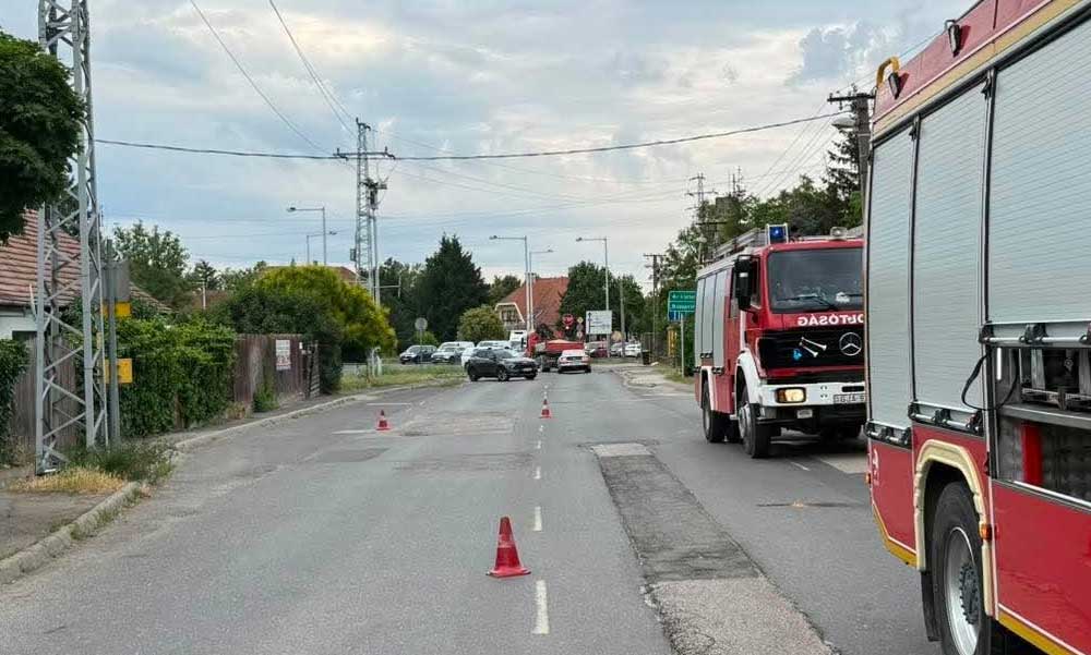 Halálos gázolás Szentendrén: kamion ütött el egy idős asszonyt, lezárták a 11-es főutat