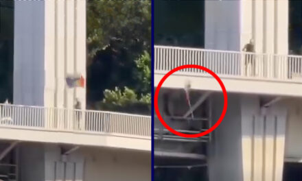 Dunába dobta a szivárványos zászlókat egy ismeretlen férfi az Erzsébet hídról – videó a cikkben