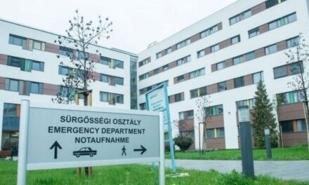 Lázgörcsöt kapott és meghalt egy kétéves kisfiú a tatabányai kórházban, a szülők szerint nem látták el megfelelően a gyermeket