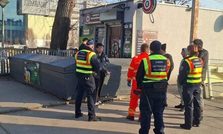 Razzia a Kelenföldi pályaudvar környékén: 29 személyt fogtak el a rendőrök – videó az akcióról