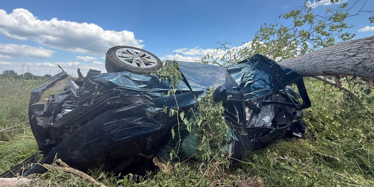 Szörnyű baleset a 6-os főúton: meghalt a 32 éves háromgyermekes anya, öten megsérültek a Hidasnál történt ütközésben