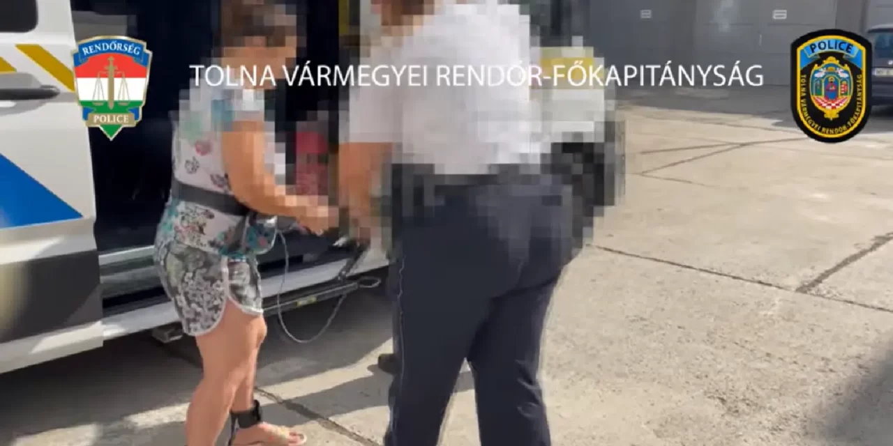 Nagydorogi csecsemőgyilkosság: vádat emeltek a nő ellen, aki sétáltatás közben végzett gyermekével,  majd eljátszotta, hogy elrabolták tőle a picit