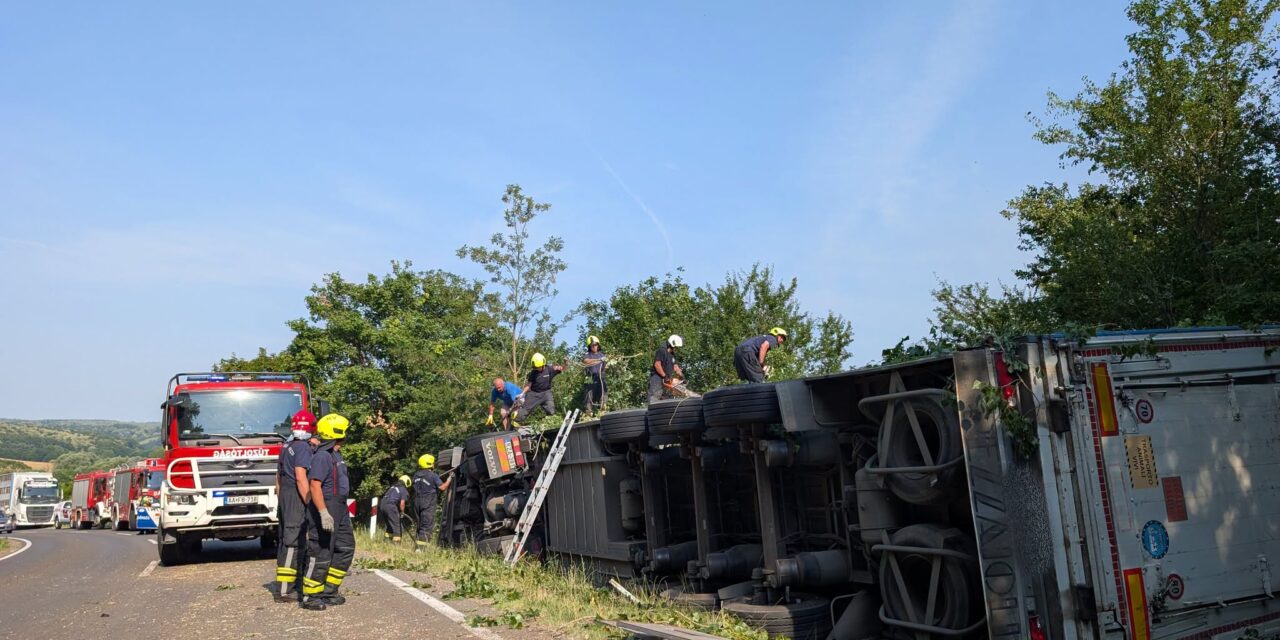 Kamionbaleset a 66-os főúton: felborult egy disznókat szállító jármű, sok állat elpusztult, többen az úttesten rohangálnak – videó a cikkben