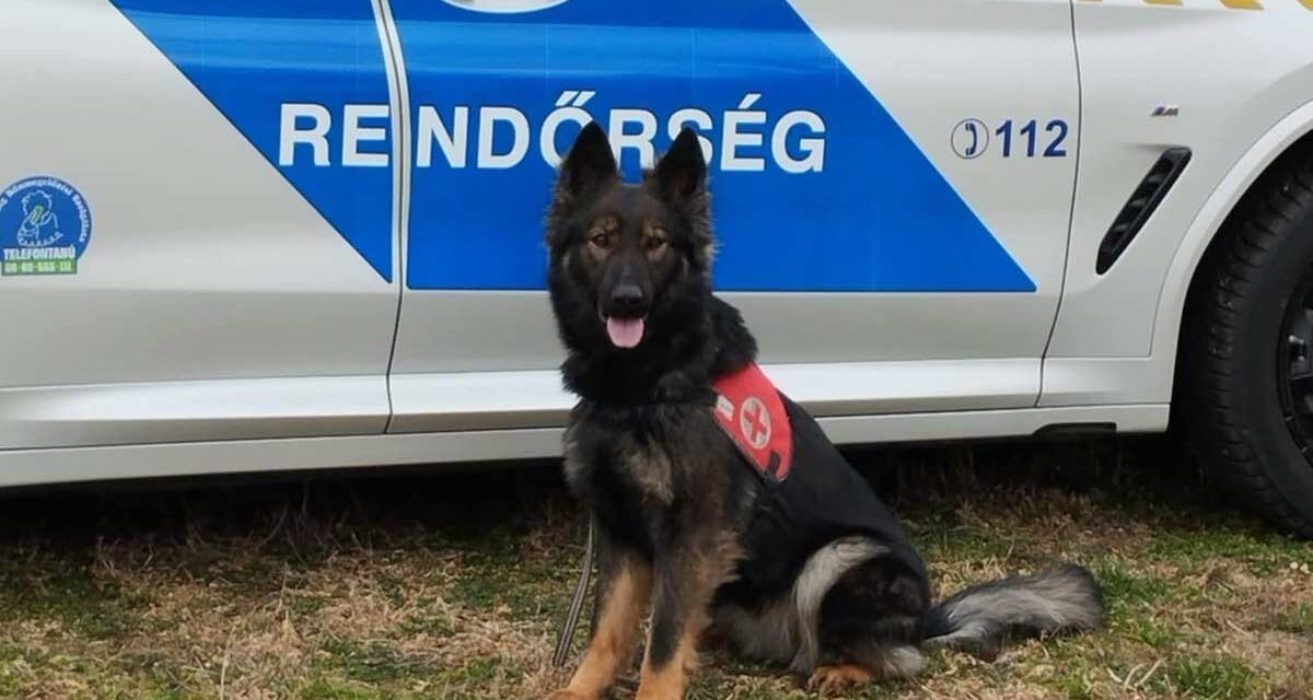 Tragédia Mosonmagyaróvár környékén: holtan találták meg az eltűnt 33 éves Eriket