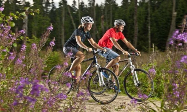 Mit tudnak a keleti e-bike-ok?