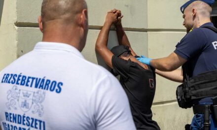 Razziahullám Budapesten: Egy hét alatt 33 ember fogtak el és több mint hétszázat igazoltattak