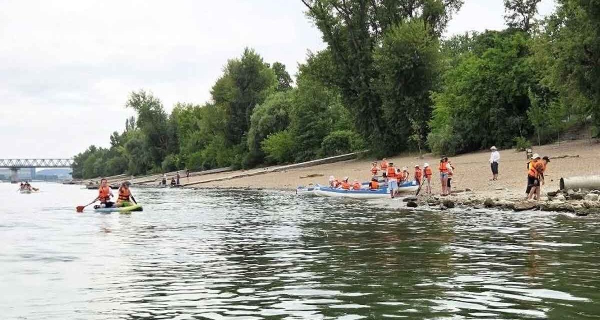 Életmentés a Dunában: Hős táborozó gyerekek mentették meg két fuldokló kisgyerek életét, másodperceken múlt a tragédia