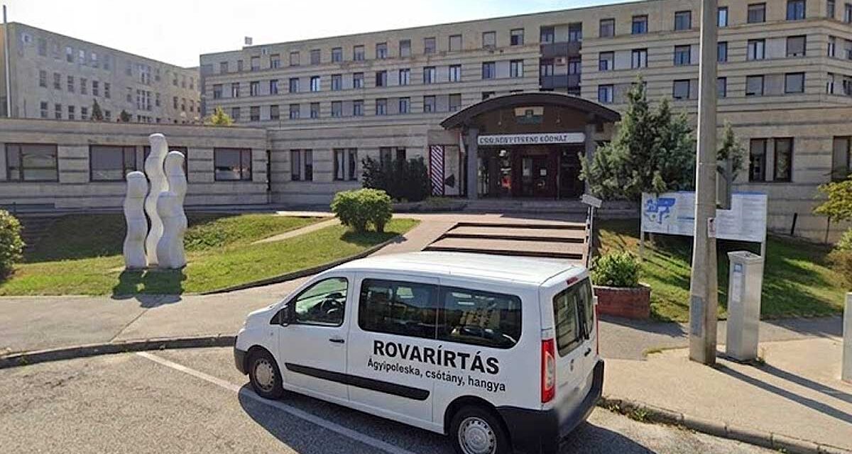 Orbáni-örökség: ágyi poloskák miatt, hetekre lezárták a veszprémi kórház gyermekágyas részlegét