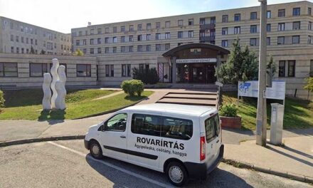 Orbáni-örökség: ágyi poloskák miatt, hetekre lezárták a veszprémi kórház gyermekágyas részlegét