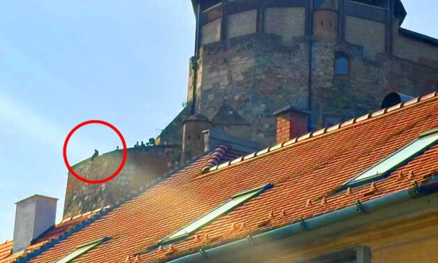 Az esztergomi várfalról zuhant a halálba egy 30 éves férfi, tavaly ugyanitt egy 13 éves fiú esett le