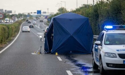 Holttestet találtak a forgalmi sávok között az M5-ös autópályán: mindkét irányba lezárták a belső sávot